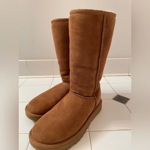 Chestnut UGG size 6!